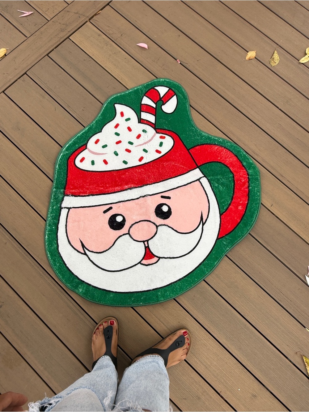 Santa Mug Holiday Door Mat - Green and Red